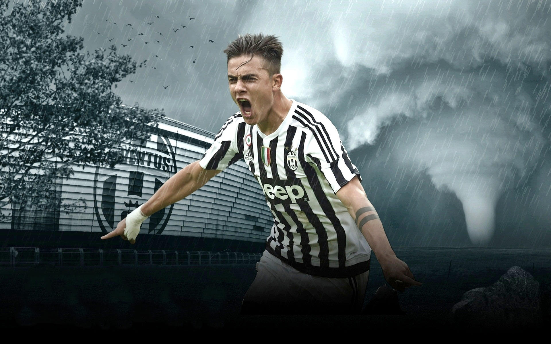 武磊：夺冠彰显海港底蕴，崇明一期球员会继续做好球队榜样（武磊：夺冠展现海港底色，崇明一期球员将继续为球队树立标杆）